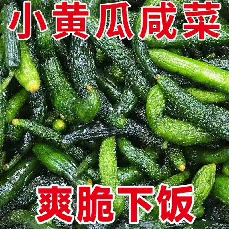 正宗盐渍小黄瓜农家腌制新鲜咸菜