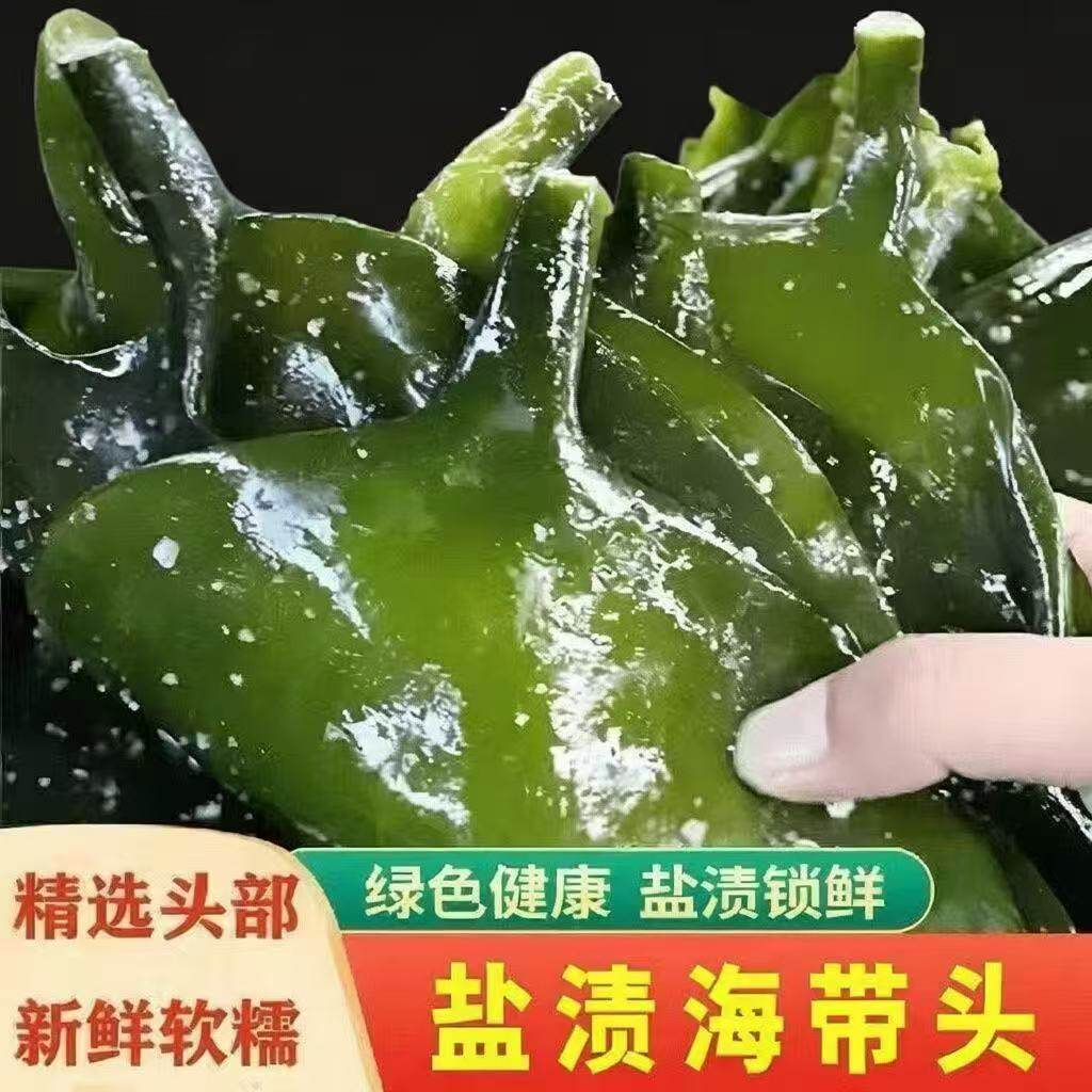 盐渍海带头厚头火锅煲汤海带根