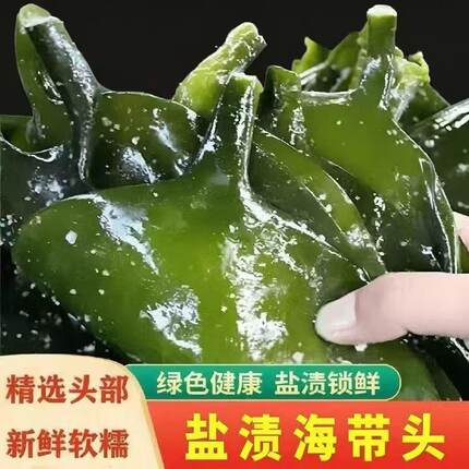 盐渍新鲜海带头海带厚片凉拌火锅炖汤整箱批发特厚商用盐渍海带根
