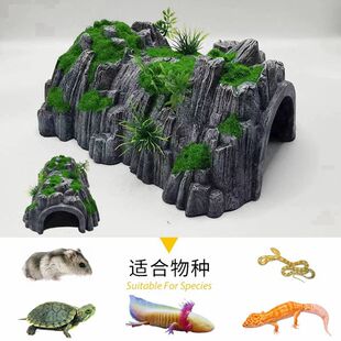 爬虫爬宠箱超大号陆龟躲避屋窝蛇窝仓鼠洞穴鱼缸造景蜘蛛乌龟晒台