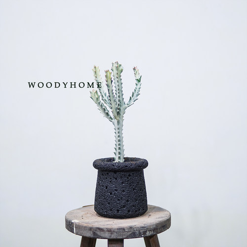 白龙骨室内外高级美观沙漠风