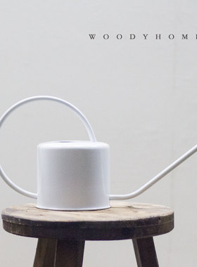 本木庐舍丨长嘴金色不锈钢浇水壶 简约复古轻奢风 摆件浇花容器