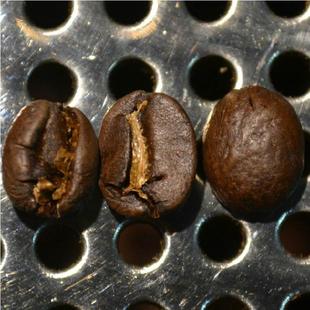 巴西进口咖啡豆圣多斯咖啡227克半磅冰火之歌哈尔滨咖啡烘焙