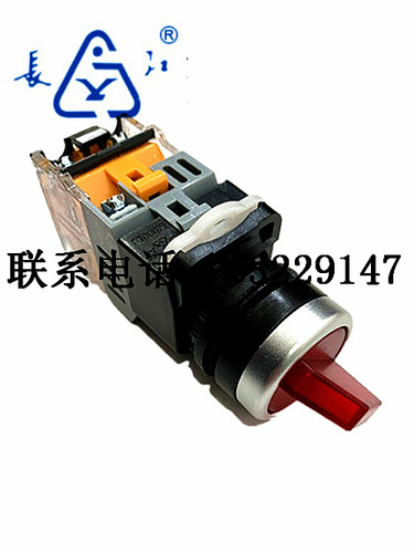 长江电器 LA38-11X2D/203 带灯旋钮  两档带带按钮