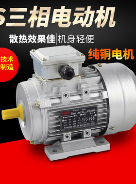 三项220V/110/480/415/660v电压60hz电动机1.1/1.5/3/4/5.5/2定制