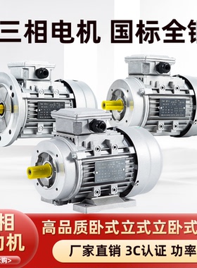 YE3三相铝壳6级电动机0.25/0.37/0.75/1.5KW低速900转异步马达860
