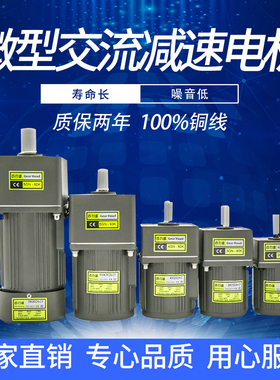6W15W25W40W60W120W180W200W250W300W400W齿轮调定减速口罩机电机