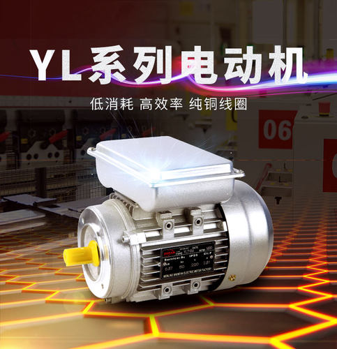 单项低速6级立式220v异步电动机