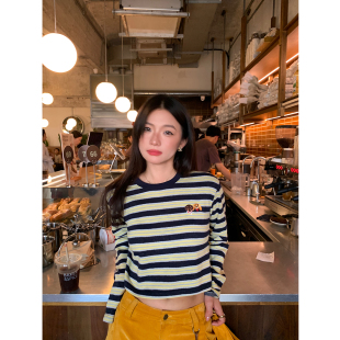 设计感小众T恤小个子早秋百搭外穿 上衣女2025年新款 落落狷介 长袖