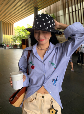 落落狷介 女款2026年新款春夏装蓝色条纹刺绣衬衫长袖设计感上衣