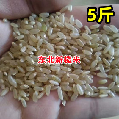 东北新糙米黑龙江农家大米可以发芽的糙大米粗粮杂粮东北特产
