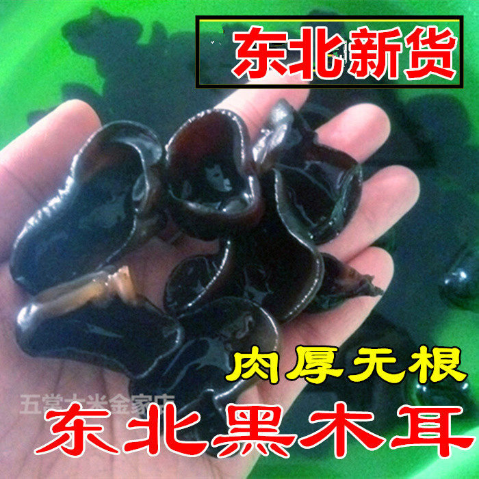 东北特产黑木耳散装椴树木耳小碗耳干货新货黑龙江250克