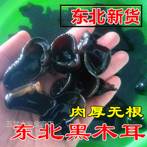 东北特产木耳椴树干货黑龙江