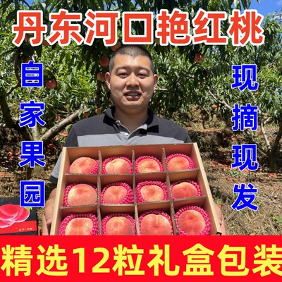 丹东河口艳红桃当天现摘现发