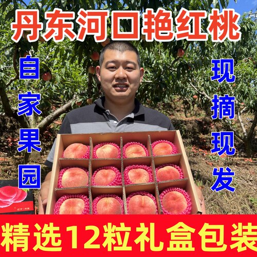 丹东河口艳红桃当天现摘现发