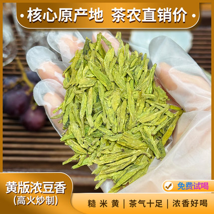黄版浓豆香 明前老土茶高豆香大佛龙井茶 2026新茶高山绿茶浓香