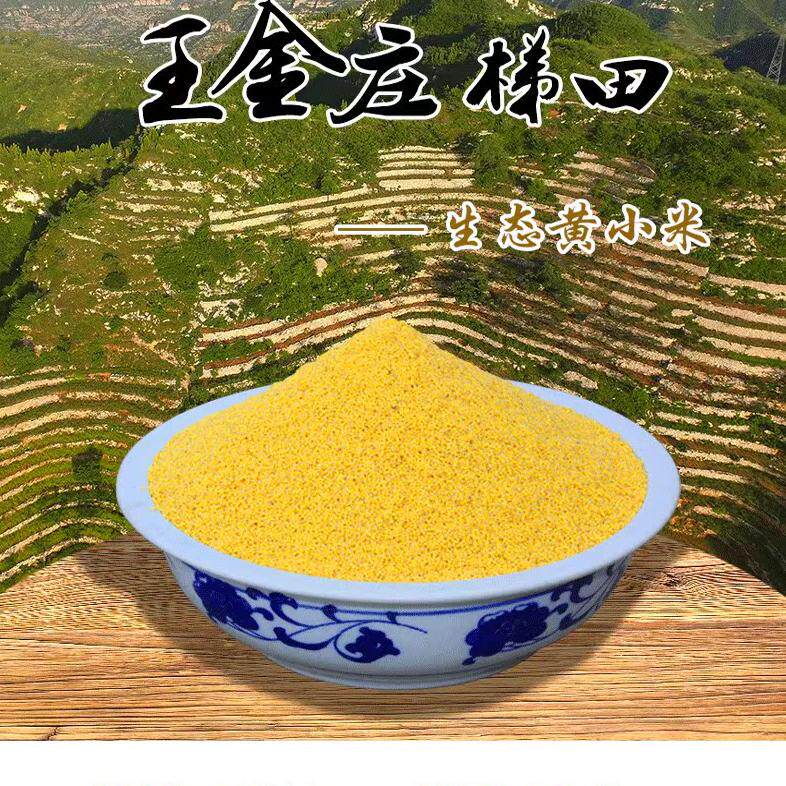 王金庄梯田红谷小米 米砖 五斤 包邮装