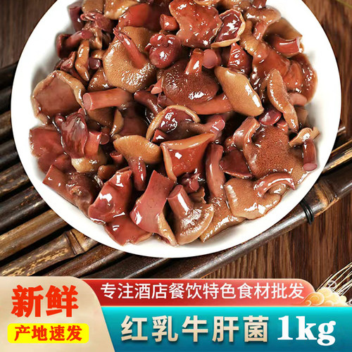 红乳牛肝菌1000g酒店餐饮食材