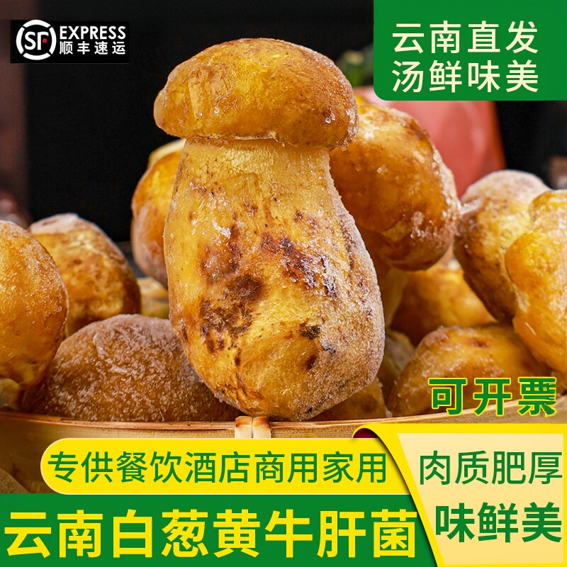 云南冰鲜速冻白葱牛肝菌1000g冰冻冷冻见手青酒店素食店餐厅食材