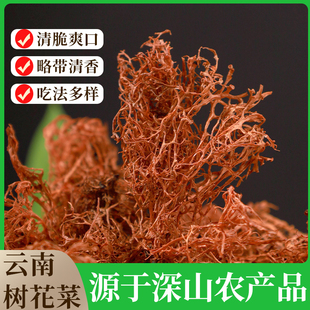 野生树花500g云南特产树胡子菌类干货特色凉拌下饭野菜树毛衣菜