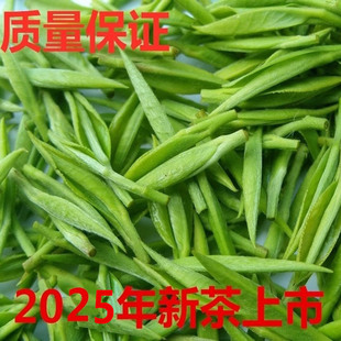 半斤2025年新春茶叶贵州明前茶清针绿茶250g特级雀舌湄潭翠芽独芽