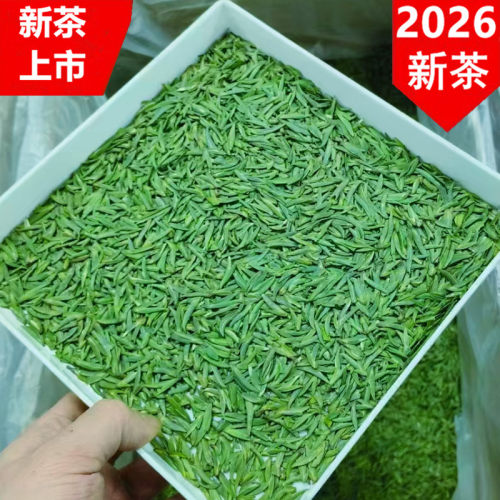 2026新茶明前特级湄潭翠芽雀舌