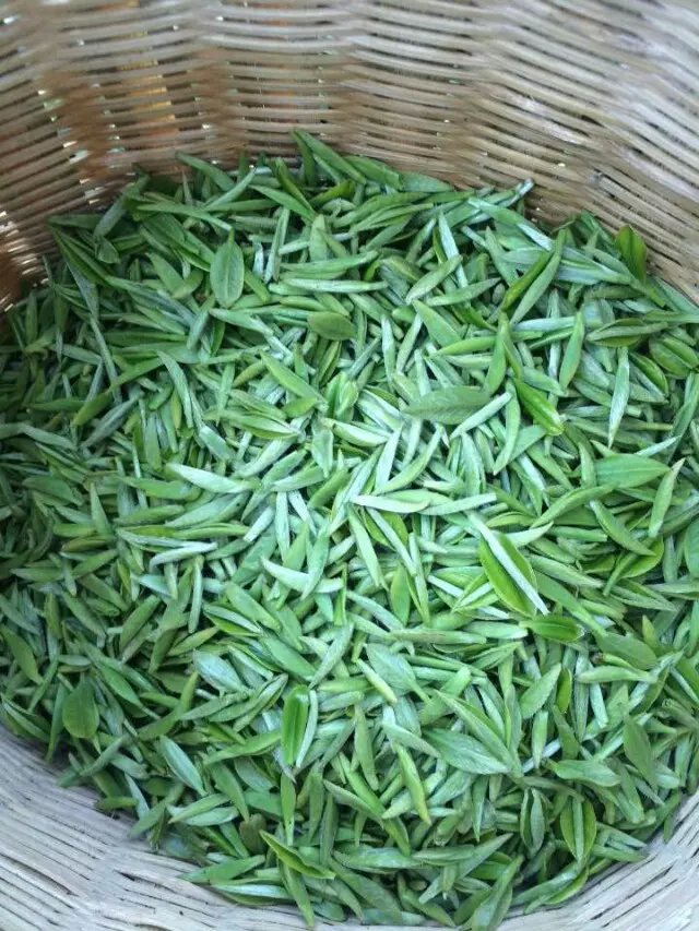 绿茶锌硒独芽雀舌湄潭翠芽250g年新茶叶贵州绿茶叶2018半斤装