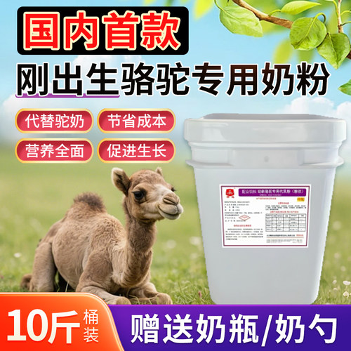 精准小骆驼专用奶粉代替驼奶