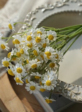 洋甘菊小雏菊仿真花假花摆设客厅餐桌装饰花束高品质仿生干花摆件