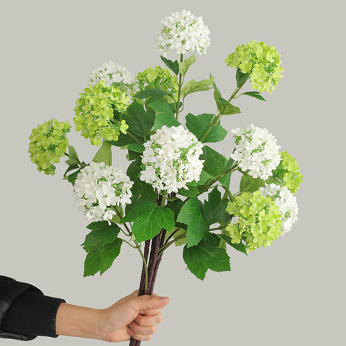 清新木绣球花长枝三头香雪球