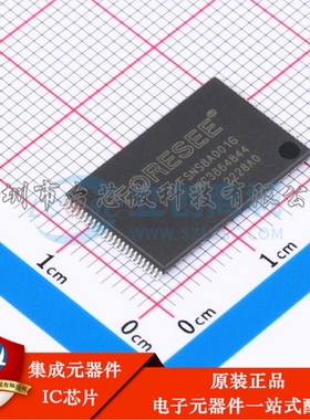 FSNS8A001G-TWT TSOP-48L NAND FLASH