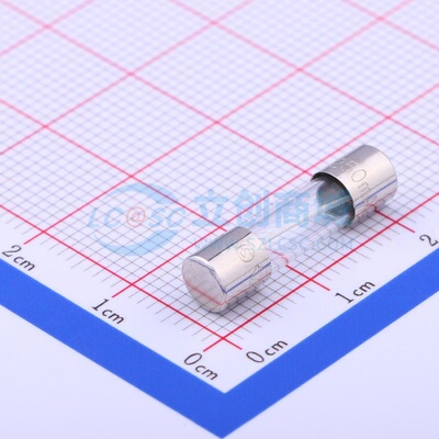 一次性保险丝 0218.250MXP D5xL20mm Littelfuse(力特) 原装