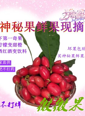 神秘果鲜果果干奇迹果果神奇改变味觉酸变甜变味果MIRACLE BERRY