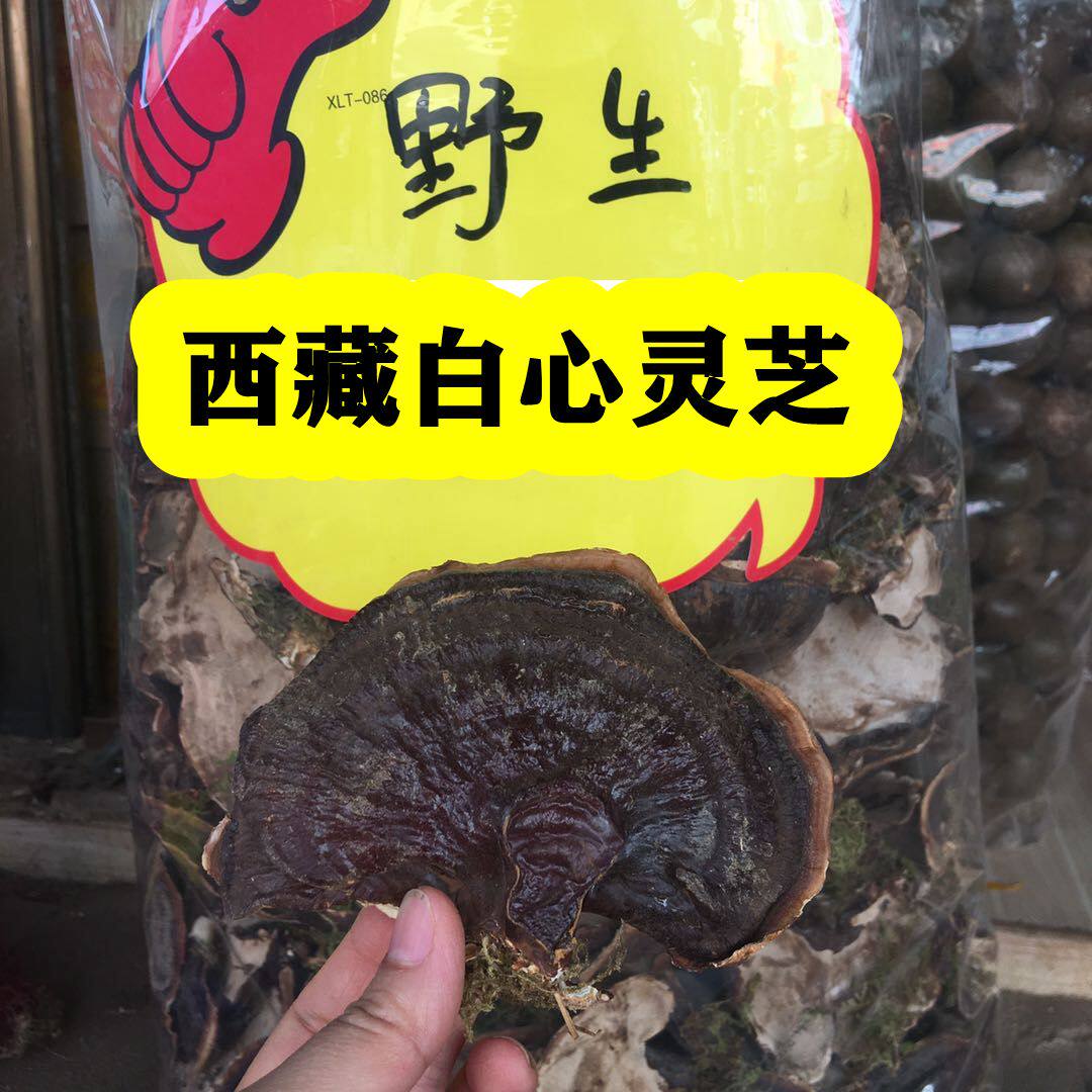 西藏野生正品250g免费打粉白灵芝