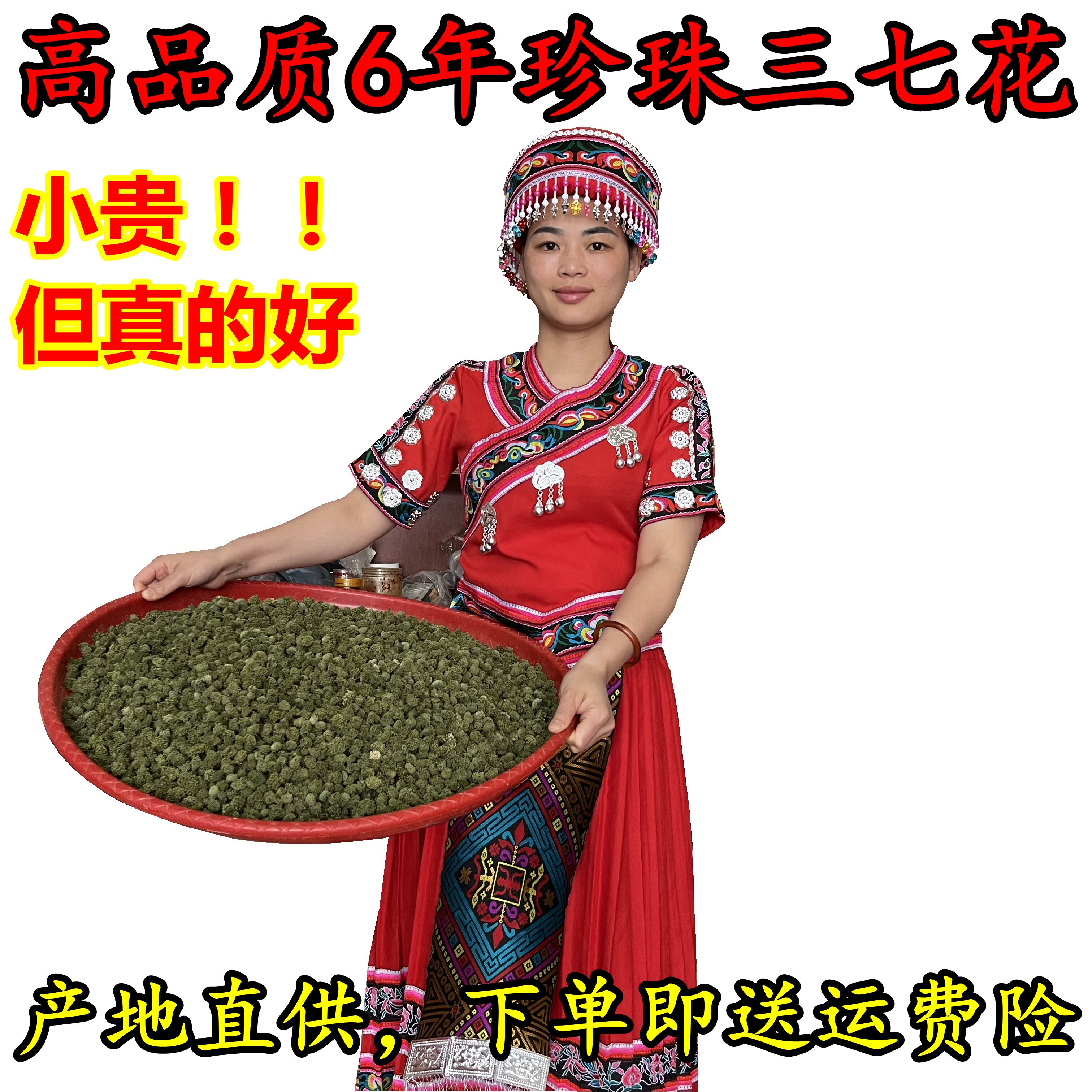 田七三七花新花头茬田七花