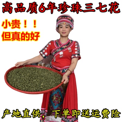 田七三七花新花头茬田七花