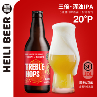 黑狸精酿 三倍浑浊云海松香ipa啤酒整箱年货礼盒 高度烈性啤酒