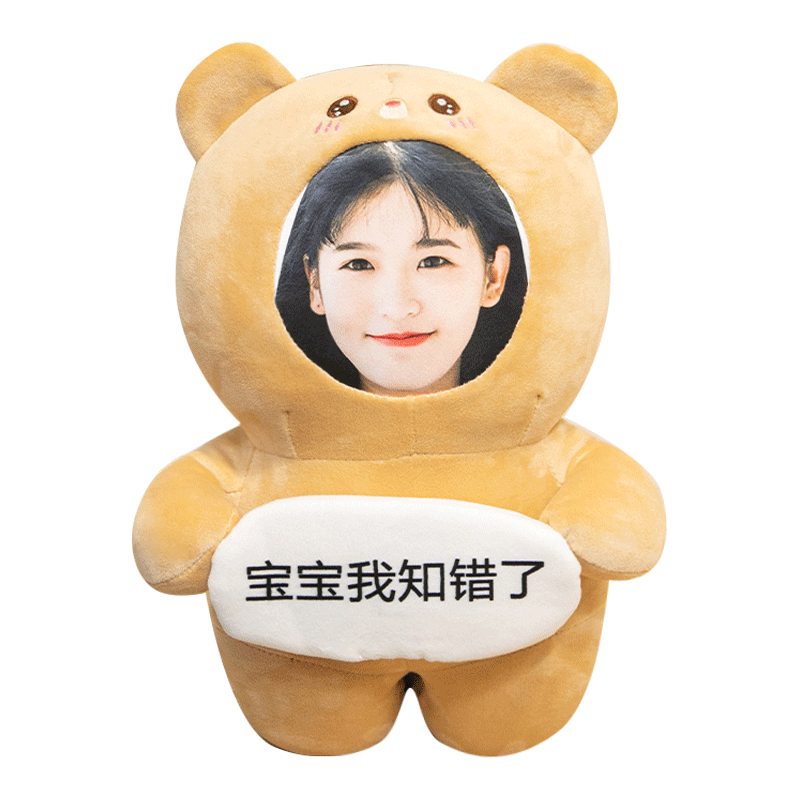 diy照片定制玩偶会道歉的娃娃