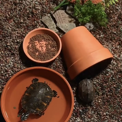 乌龟泡澡盆鱼缸造景躲避屋洞穴晒台黄缘龟水盆螃蟹喂食器台红陶土