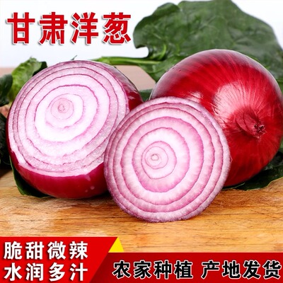 甘肃洋葱微甜微辣口感脆甜