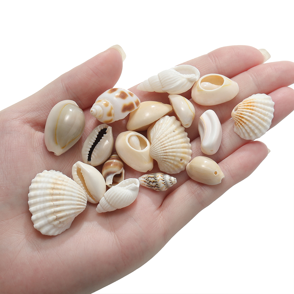 天然贝壳金边贝海螺DIY手链项链