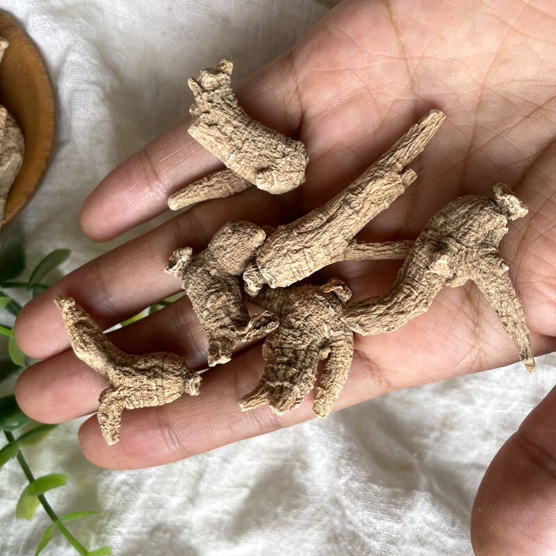 正宗西洋参原丛粒头500g一斤整枝
