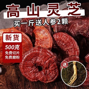 长白山正宗赤灵芝整枝紫灵芝片东北特产可煮茶泡酒炖汤500克