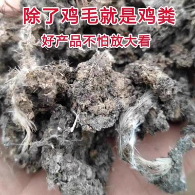 优质鸡屎粪块干鸡粪肥纯干鸡粪块肥农家肥发酵羊粪鸡粪干有机肥