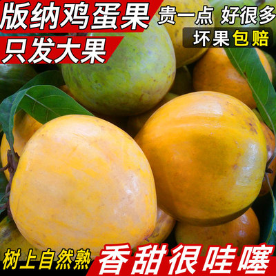 云南新鲜热带广西4斤包邮鸡蛋果