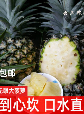 云南西双版纳无眼菠萝牛奶大凤梨当季泰国甜金钻新鲜水果8斤包邮