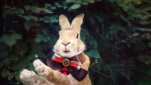 清新壁纸1分钱壁纸一分钱0.01元商品手机电脑桌面图片zw13