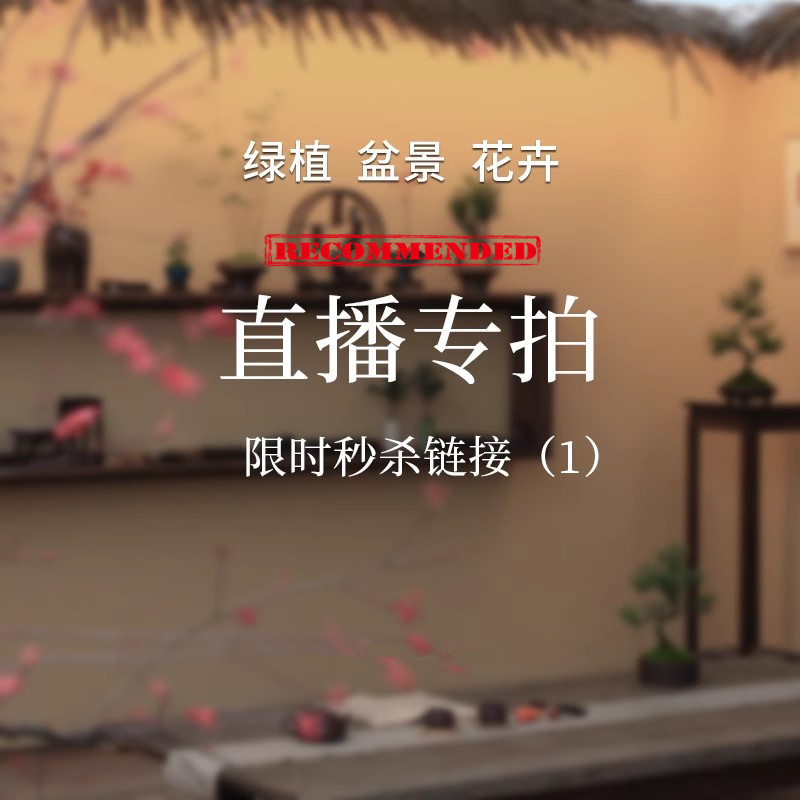 【一物一拍】绿植盆栽花卉盆景庭院花卉植物微盆景杂木类造型盆景