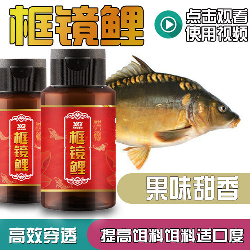 西阁框镜鲤钓鱼小药夏季黑坑饵料