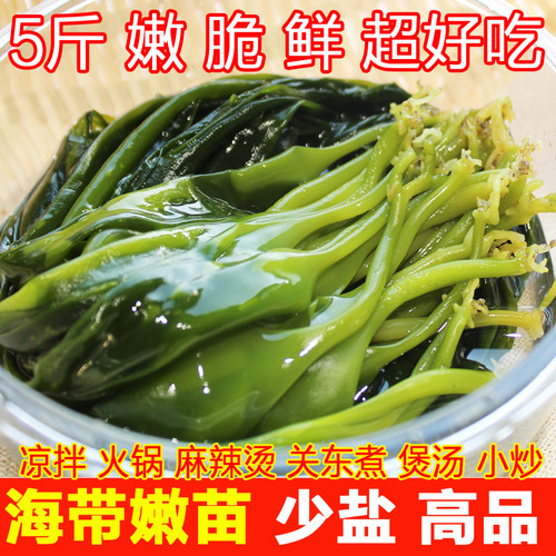 霞浦5斤特级三秒火锅食材海带苗